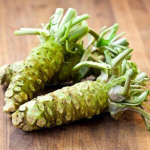 Fresh Wasabi Root
